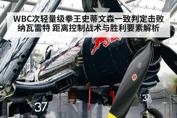 WBC次轻量级拳王史蒂文森一致判定击败纳瓦雷特 距离控制战术与胜利要素解析 | j9.com